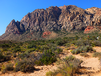 Balade à cheval dans le Red Rock Canyon - faune et flore