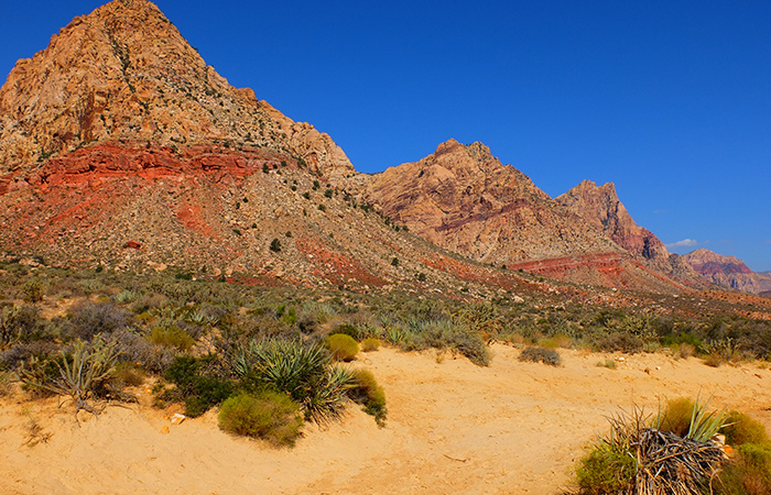 Balade à cheval dans le Red Rock Canyon - vue