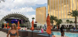 Pool Party à Las Vegas